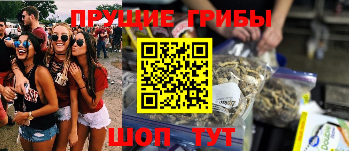Туймазы  Галлюциногенные грибы GOLDEN TEACHER  Вход с VPN  Галлюциногенные грибы Cubensis 